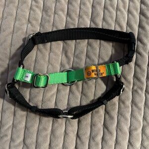 Wonder Walker Black and Green Dog Harness Small
